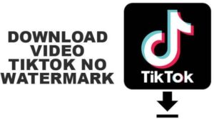 Cara Mendownload Video Tiktok Menggunakan TikTok Downloader