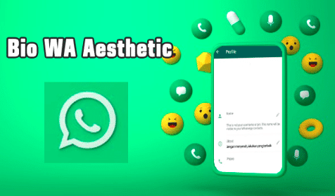 Cara Mudah Membuat Bio WhatsApp Aesthetic