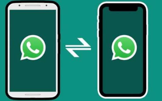 Fitur Unggulan yang Dimiliki WhatsApp Clone Mod
