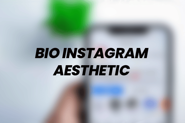 Mengenal Bio Instagram Aesthetic Font