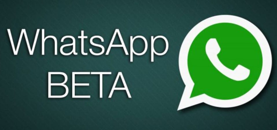 Penjelasan Singkat WhatsApp Beta Apk Terbaru Android