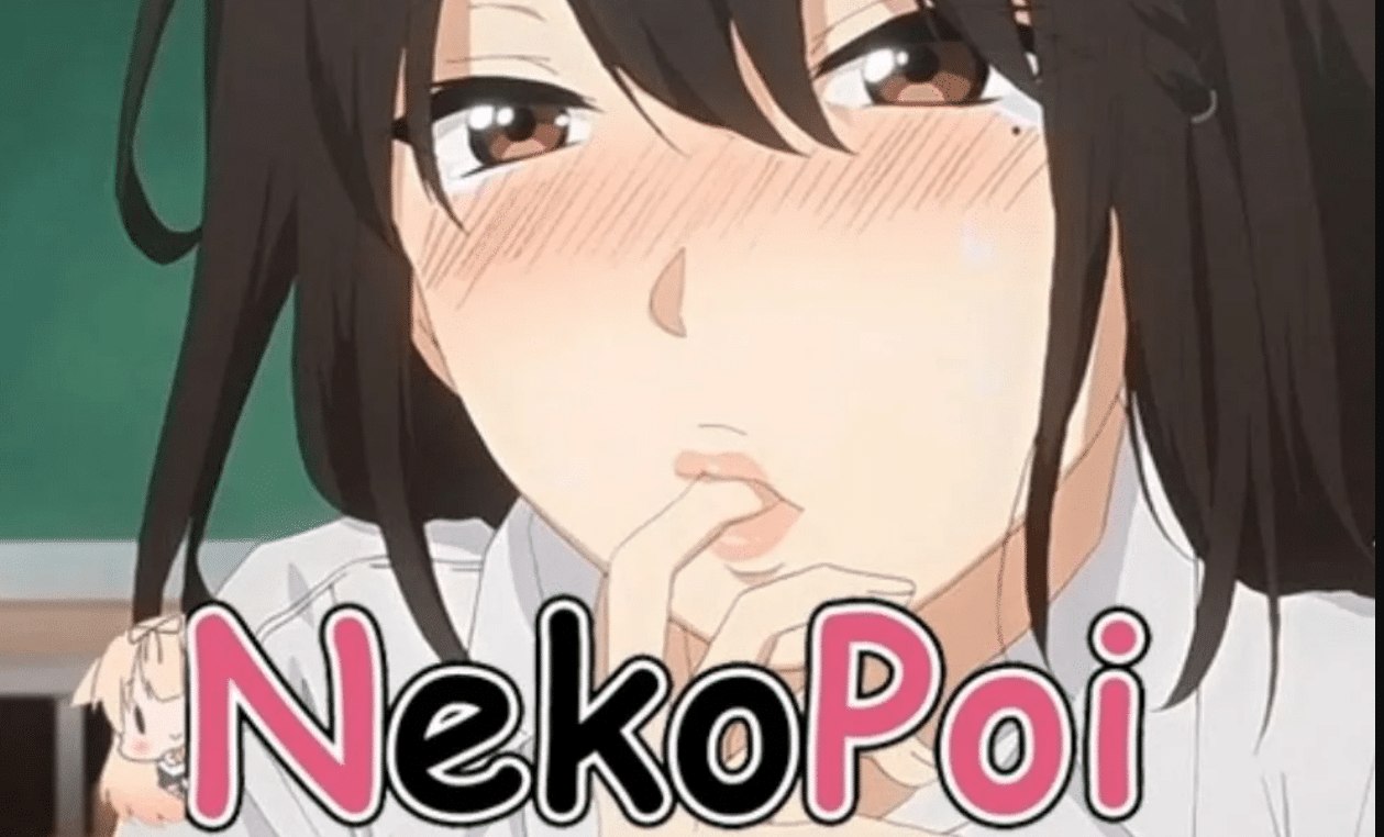 Www nekopoi care