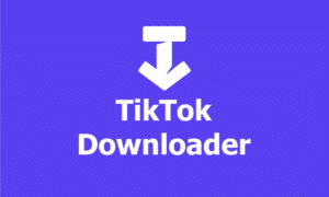 Link Download File SssTikTok MP3