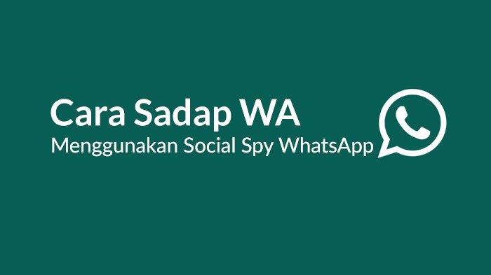 Tutorial Singkat Menggunakan Aplikasi Social Spy WA Sadap WhatsApp 2023
