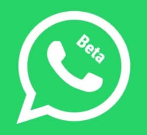 WhatsApp Beta Apk Terbaru