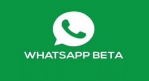 Download WhatsApp Beta Apk Terbaru 2023 di Andorid dan Ios