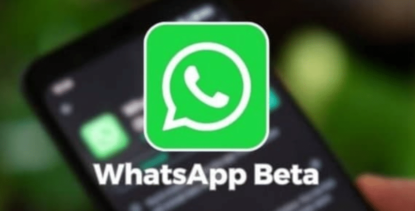 Fitur-Fitur yang Tersedia di WhatsApp Beta Apk 