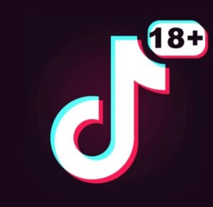 TikTok 18 2023 Apk