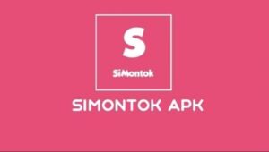 Apk Simontox VPN