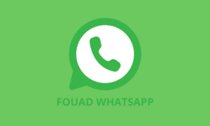 Download Fouad Whatsapp APK Update Terbaru 2023