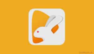 bunny-live-mod-apk